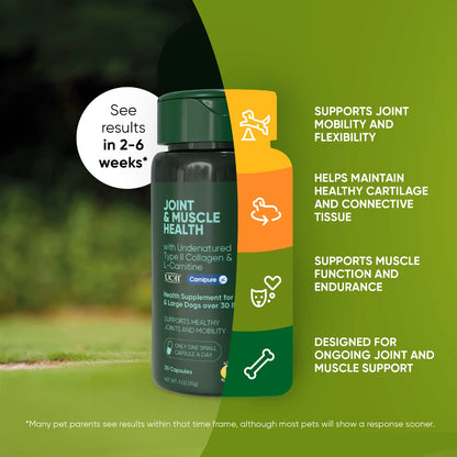 Rooted Owl Joint & Muscle Health Capsules for Medium & Large Dogs