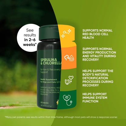 Rooted Owl Spirulina & Chlorella Capsules for Dogs & Cats
