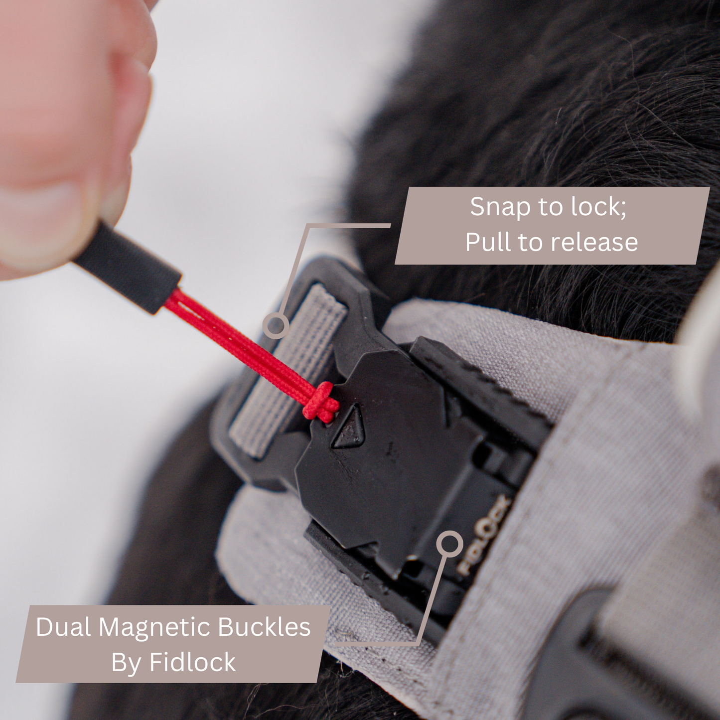 Magnetic No-Pull Dog Harness – One-Hand Clip Design