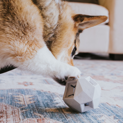 The Odin Dog Treat Dispensing Toy – Interactive Puzzle Feeder