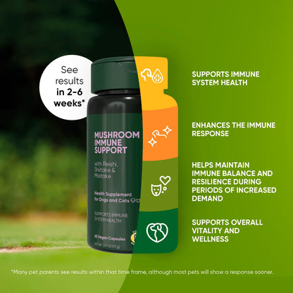 Rooted Owl Mushroom Immune Support Capsules for Dogs & Cats