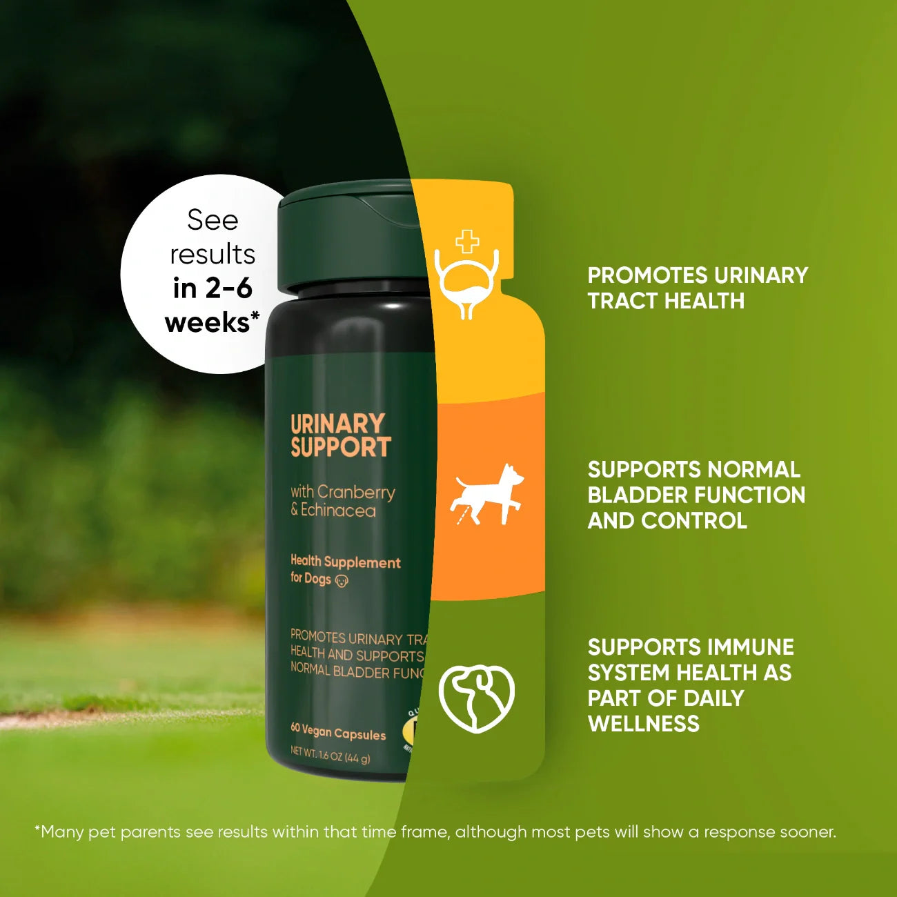 Rooted Owl Urinary Support Capsules for Dogs