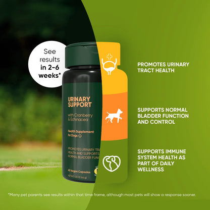 Rooted Owl Urinary Support Capsules for Dogs
