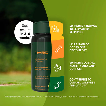 Rooted Owl Turmeric Capsules for Dogs & Cats