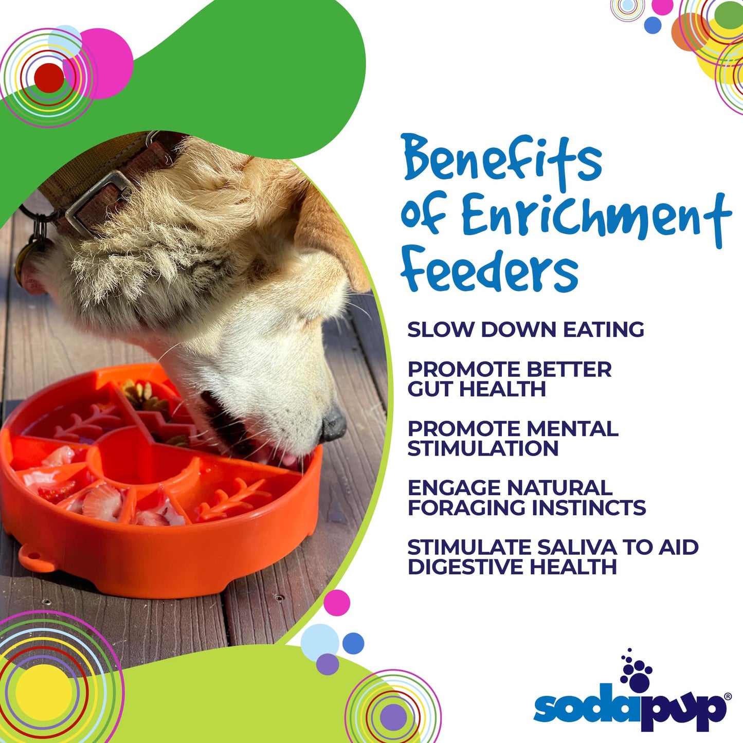 SodaPup Great Outdoors eBowl – Slow Feeder & Enrichment Dog Bowl