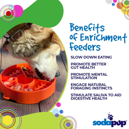 SodaPup Great Outdoors eBowl – Slow Feeder & Enrichment Dog Bowl