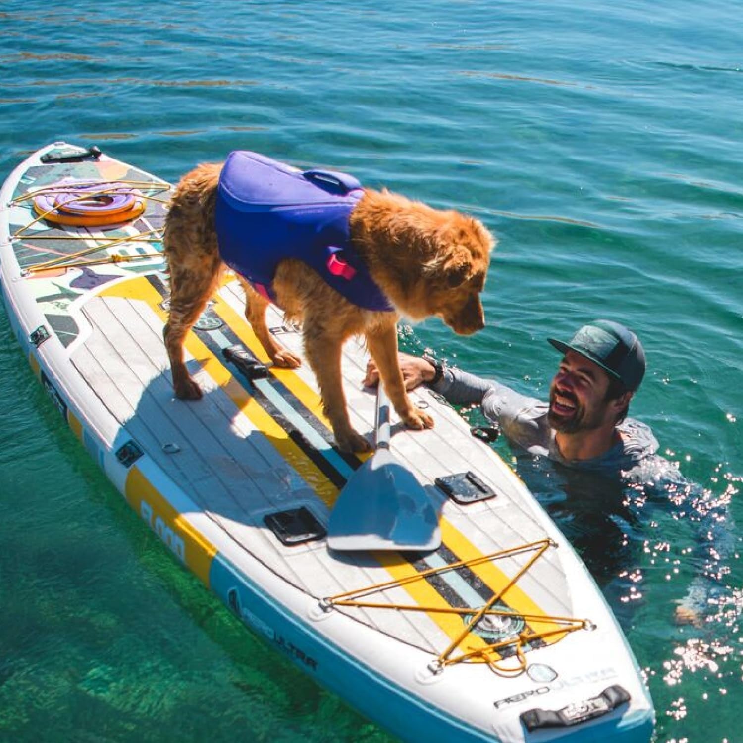 Float Coat Dog Life Jacket – Premium Buoyancy Swim Vest with Handle, Deep Blue, Small