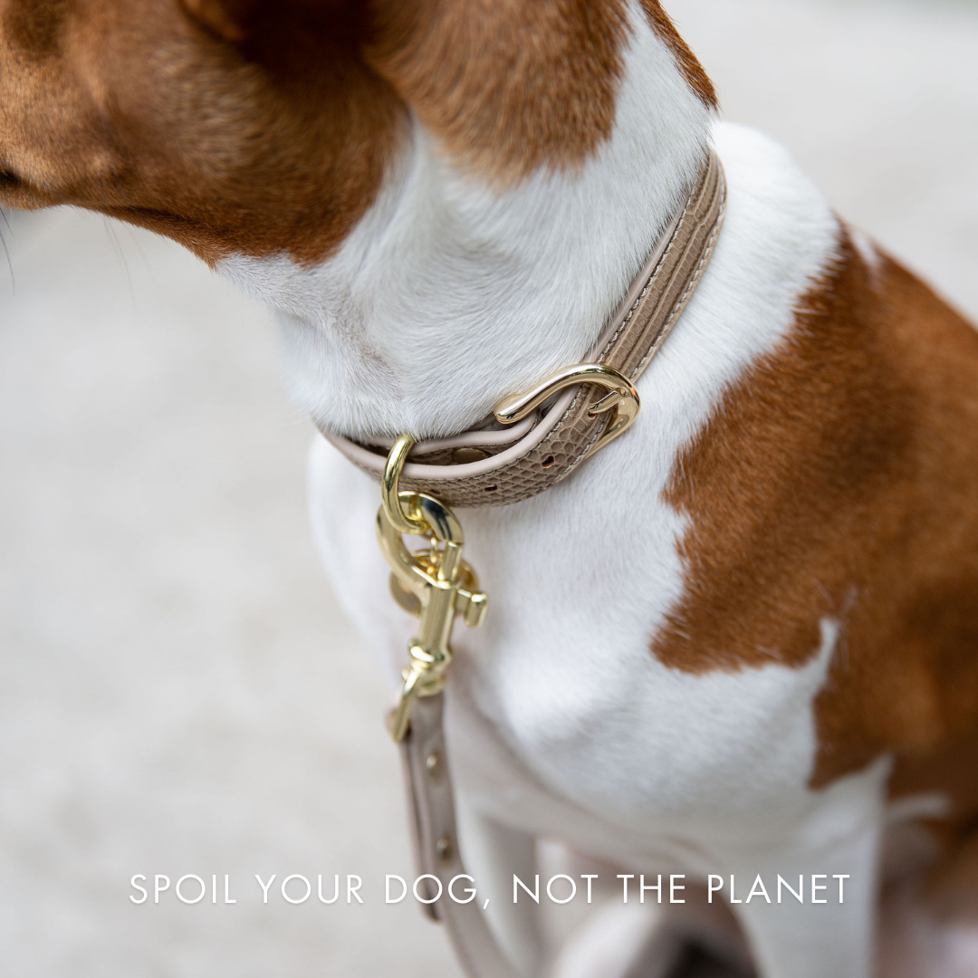 Nina Woof Milan Dog Leash – Vegan Leather, 4ft