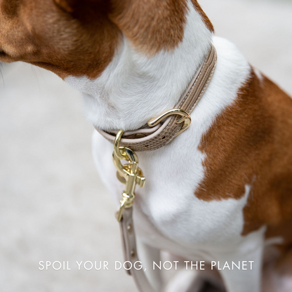 Nina Woof Milan Dog Leash – Vegan Leather, 4ft