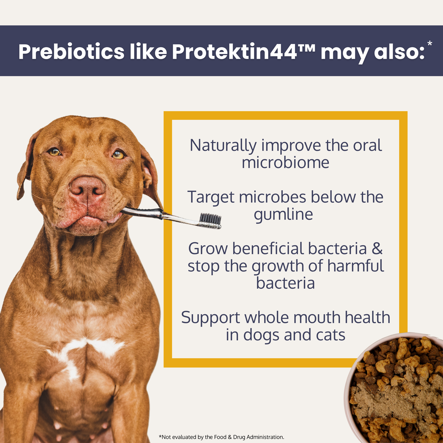 Holi Dental Health Topper for Dogs with Protektin44™ Prebiotics