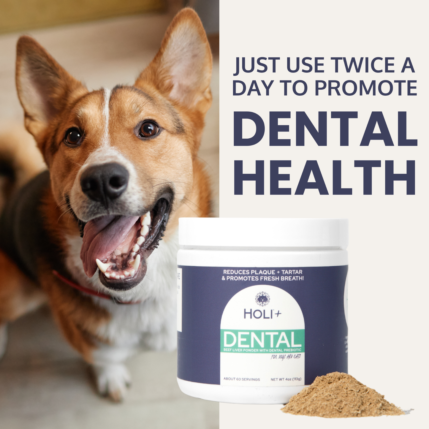 Holi Dental Health Topper for Dogs with Protektin44™ Prebiotics