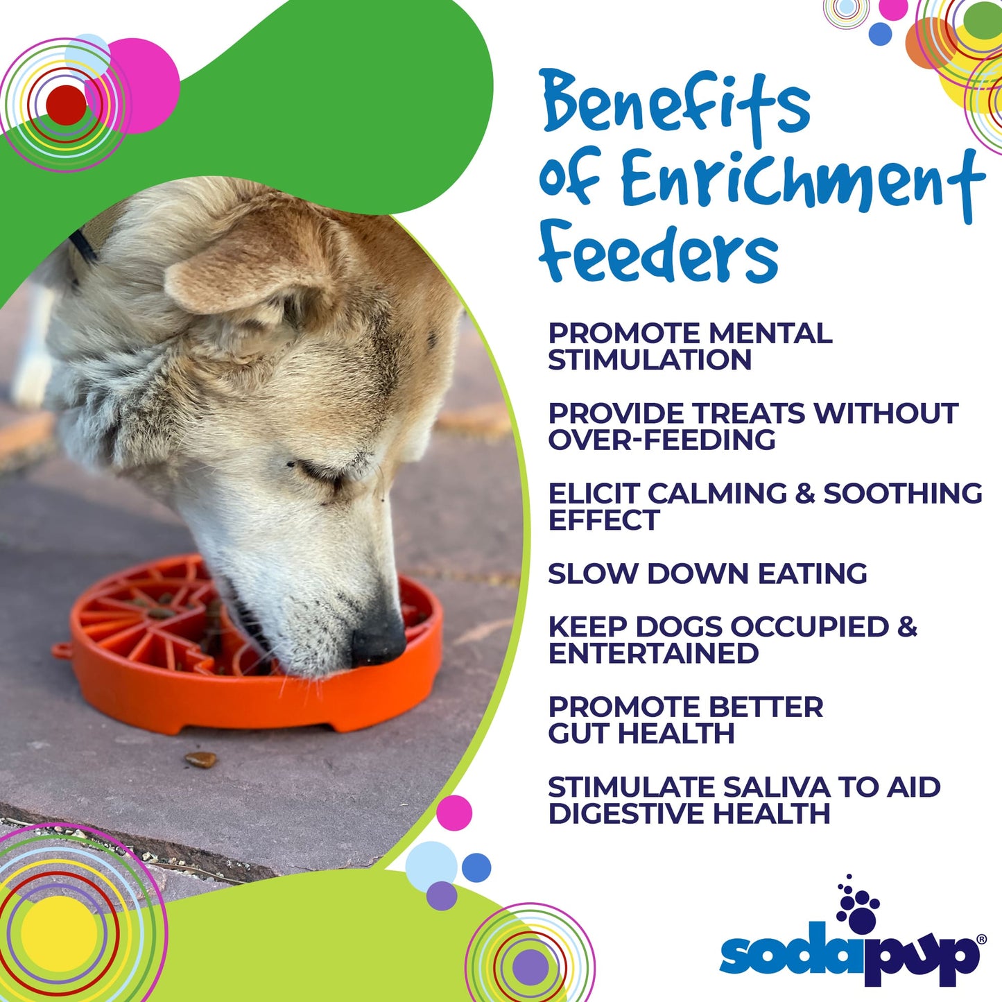 Sun & Moon eTray Slow Feeder Dog Bowl – Shallow Enrichment Tray