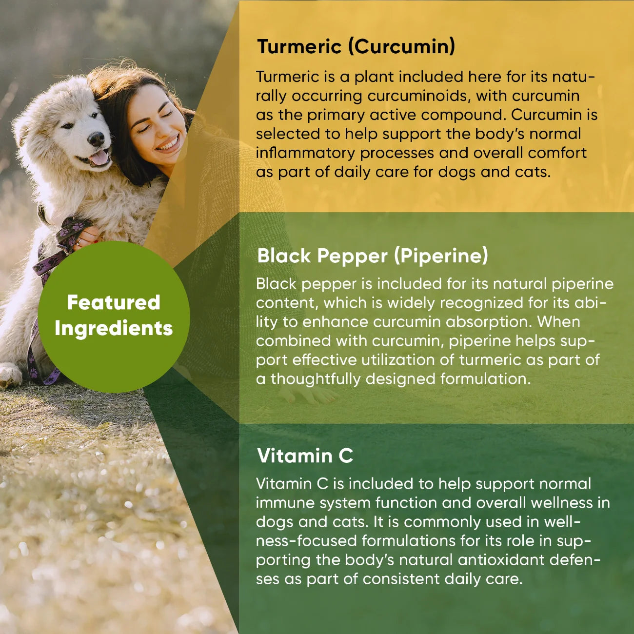 Rooted Owl Turmeric Capsules for Dogs & Cats