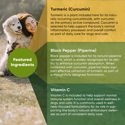 Rooted Owl Turmeric Capsules for Dogs & Cats