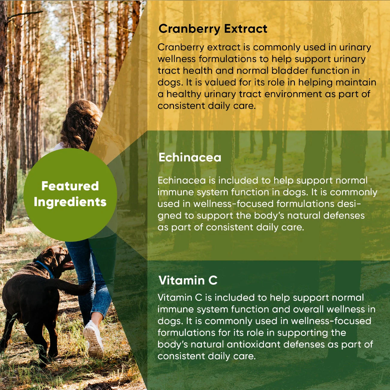 Rooted Owl Urinary Support Capsules for Dogs