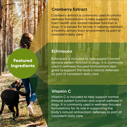 Rooted Owl Urinary Support Capsules for Dogs