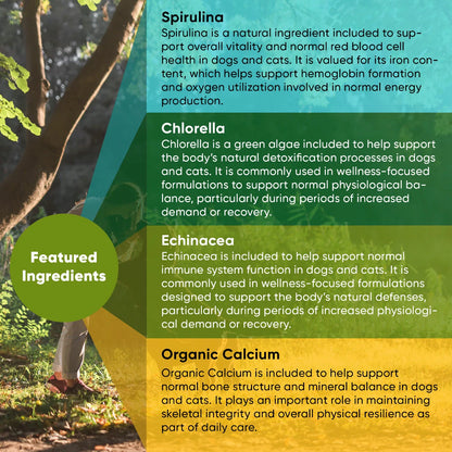 Rooted Owl Spirulina & Chlorella Capsules for Dogs & Cats