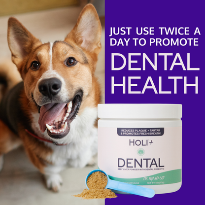 Holi Dental Health Bundle – Dental Topper + Salmon Skin Chews