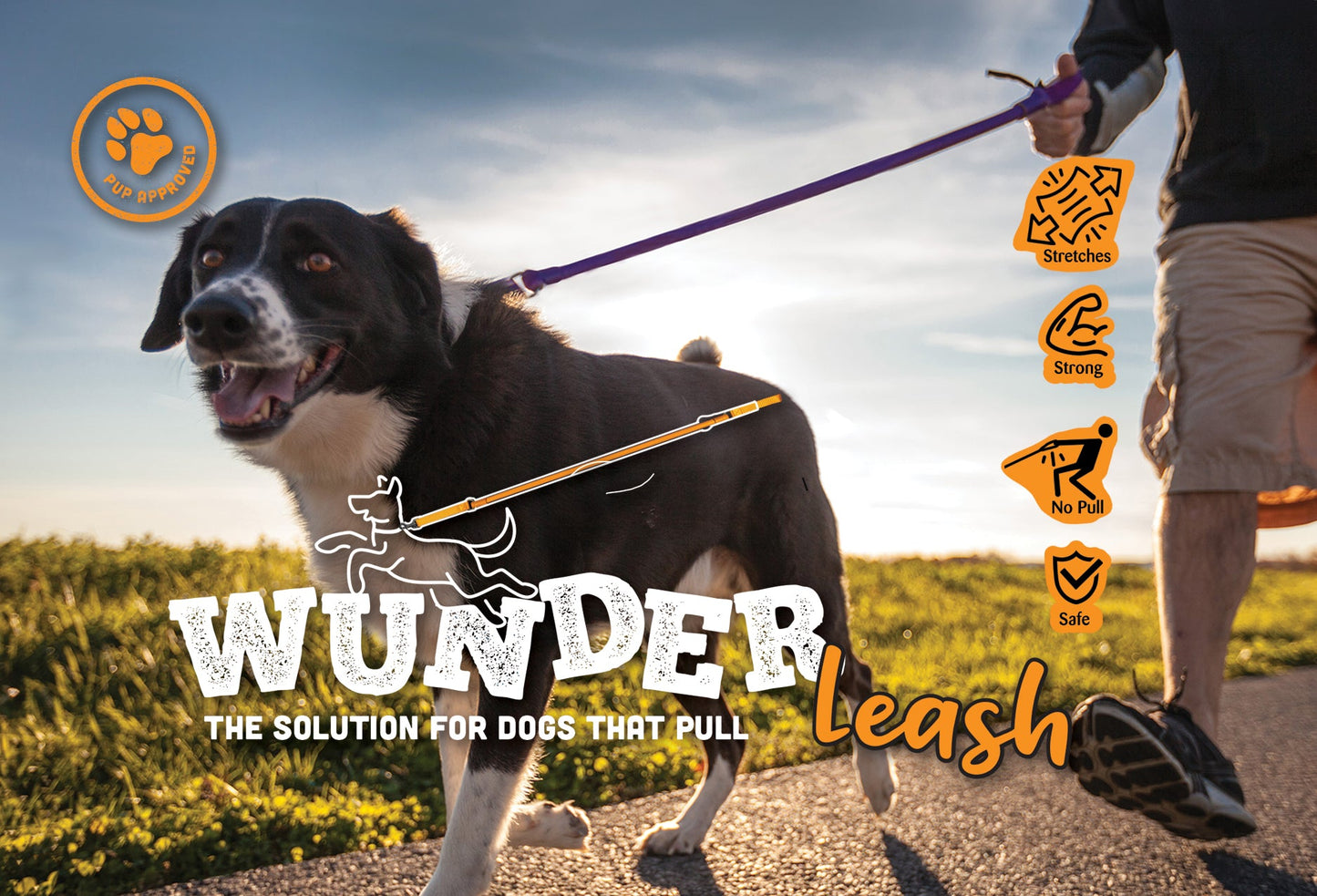 WUNDERleash No-Pull Dog Leash – Shock-Absorbing Walking Leash