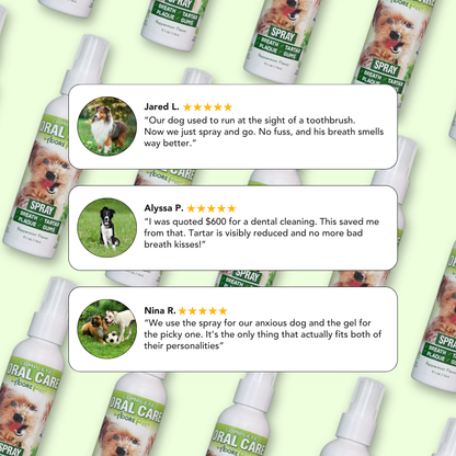 Pet Oral Care Spray