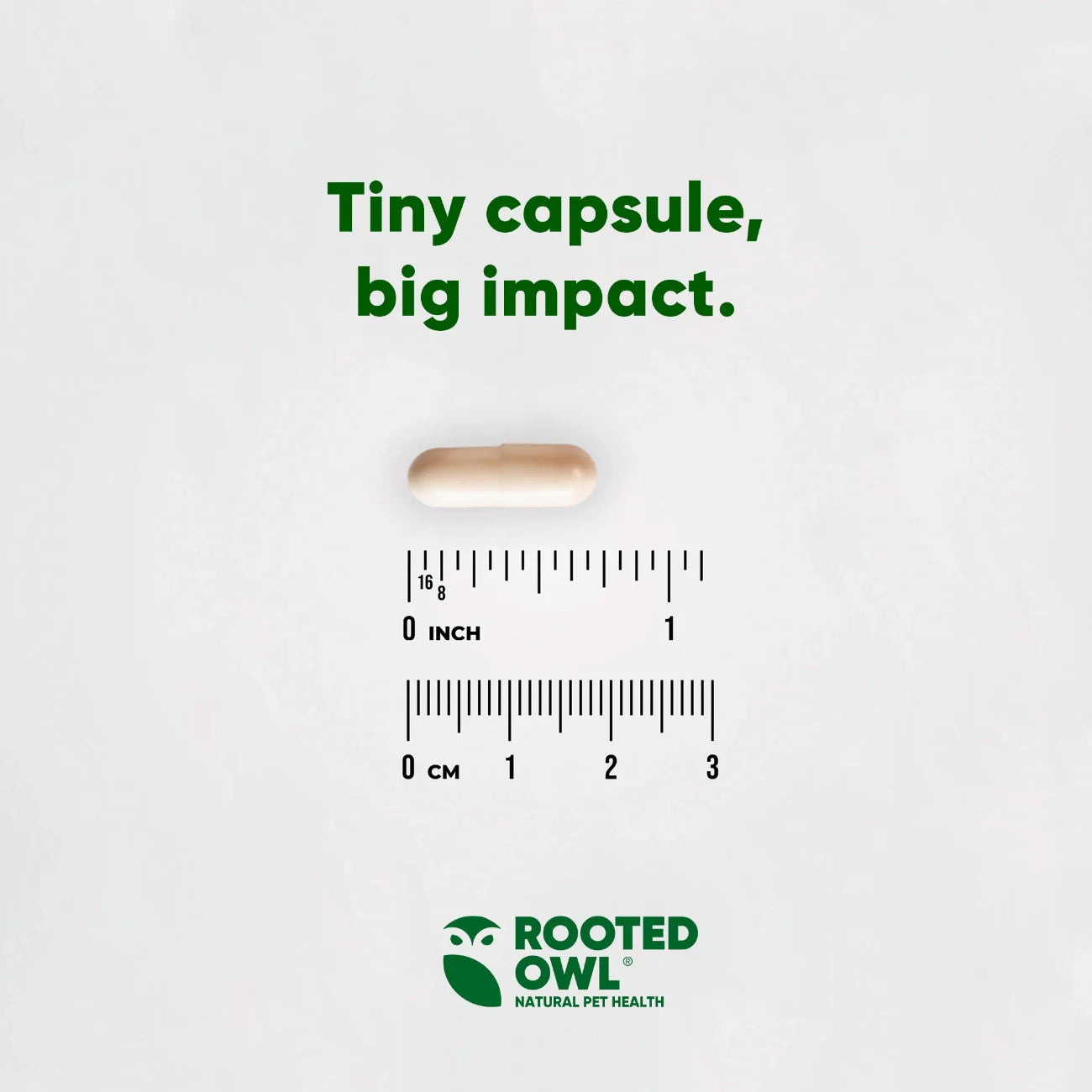 Rooted Owl Mushroom Immune Support Capsules for Dogs & Cats