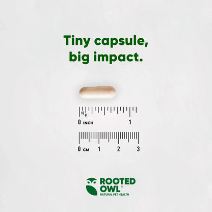 Rooted Owl Mushroom Immune Support Capsules for Dogs & Cats