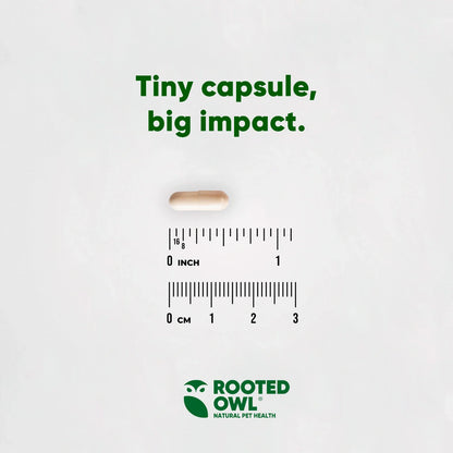 Rooted Owl Joint & Muscle Health Capsules for Medium & Large Dogs