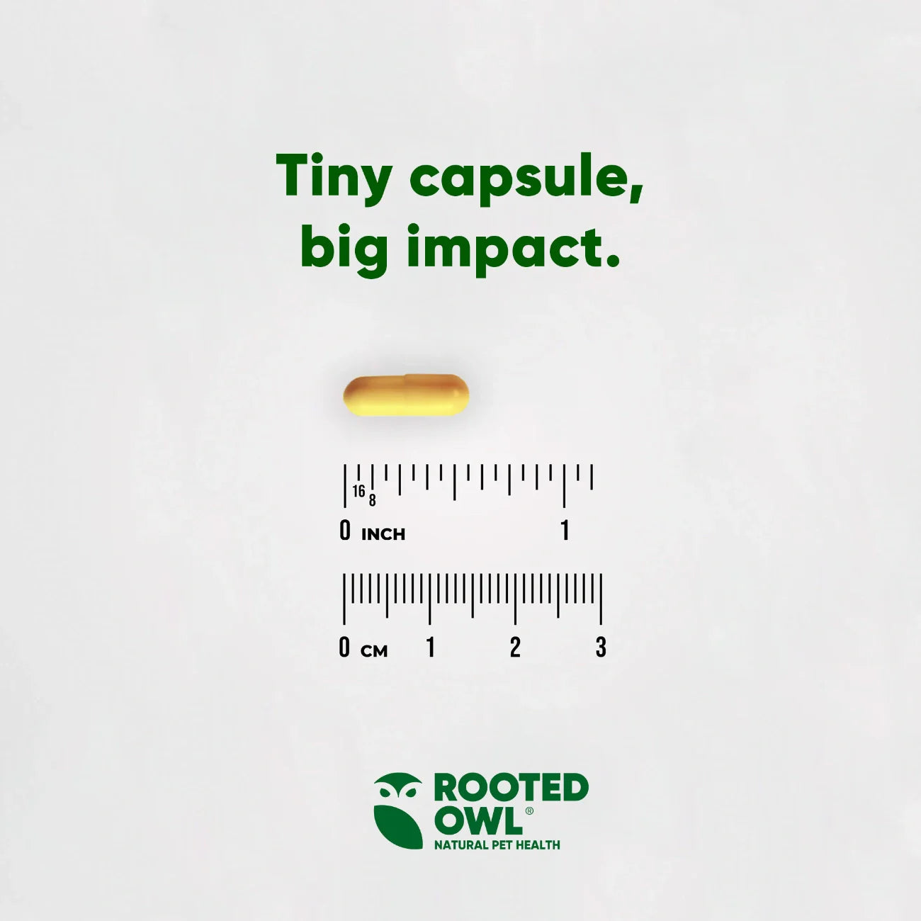 Rooted Owl Turmeric Capsules for Dogs & Cats