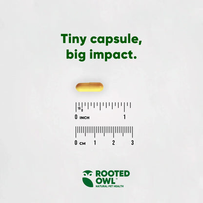 Rooted Owl Turmeric Capsules for Dogs & Cats
