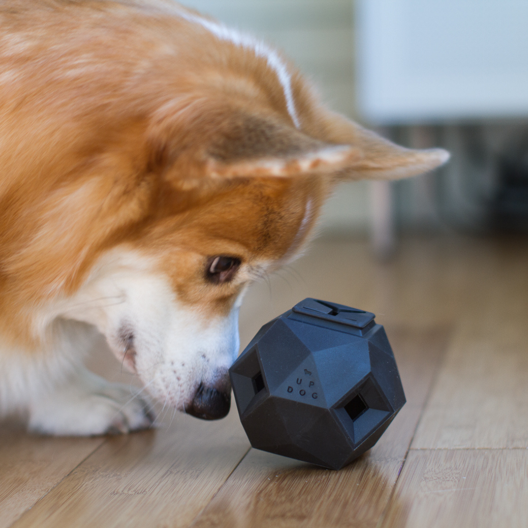 The Odin Dog Treat Dispensing Toy – Interactive Puzzle Feeder