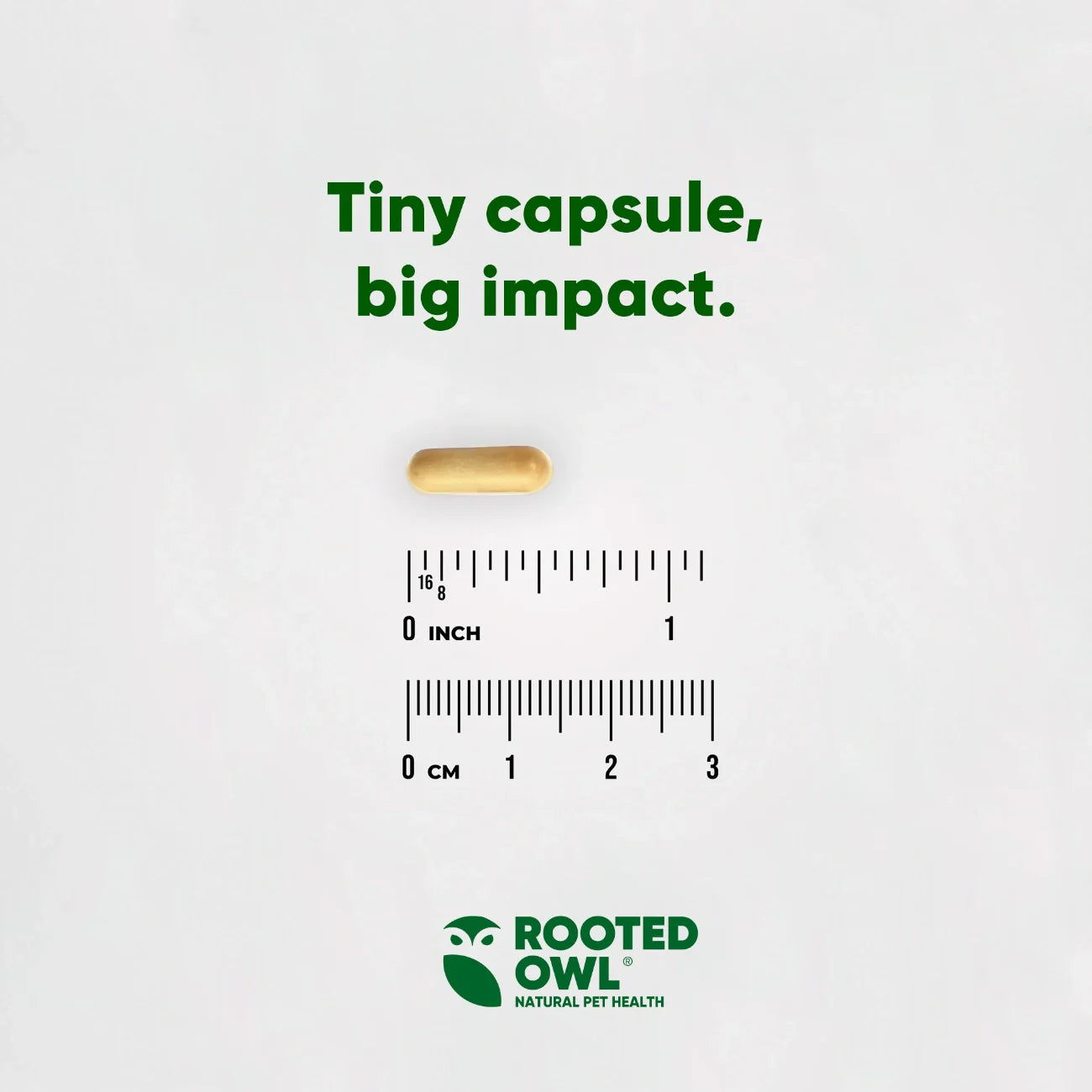 Rooted Owl Liver Support Capsules for Dogs