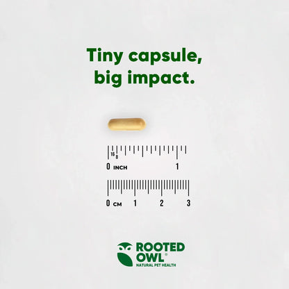 Rooted Owl Liver Support Capsules for Dogs