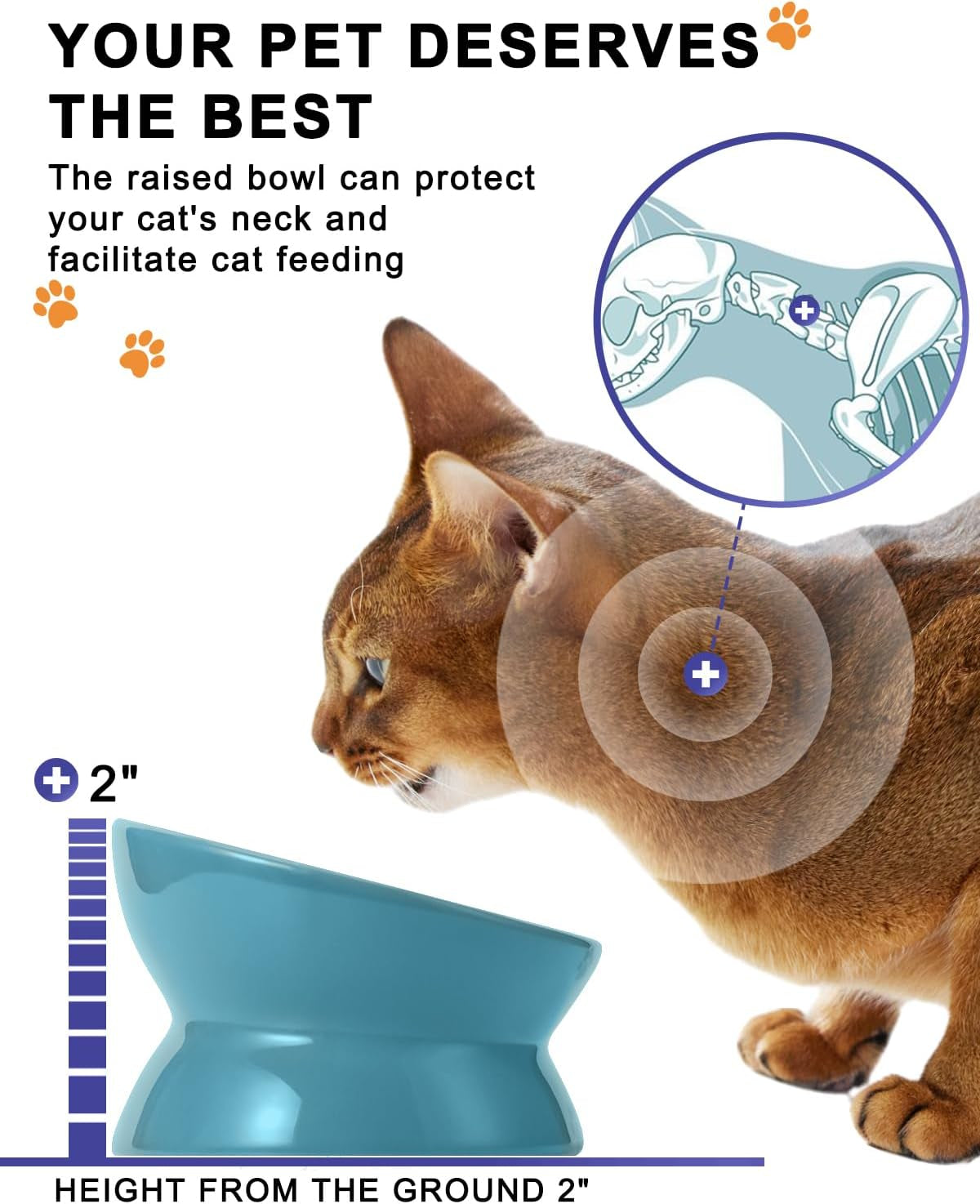 Elevated Ceramic Cat Bowl – Tilted Anti-Vomiting Raised Dish in Lake Blue