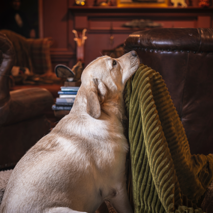 HuggleHounds Scout Blankie Double-Sided Plush Dog Blanket