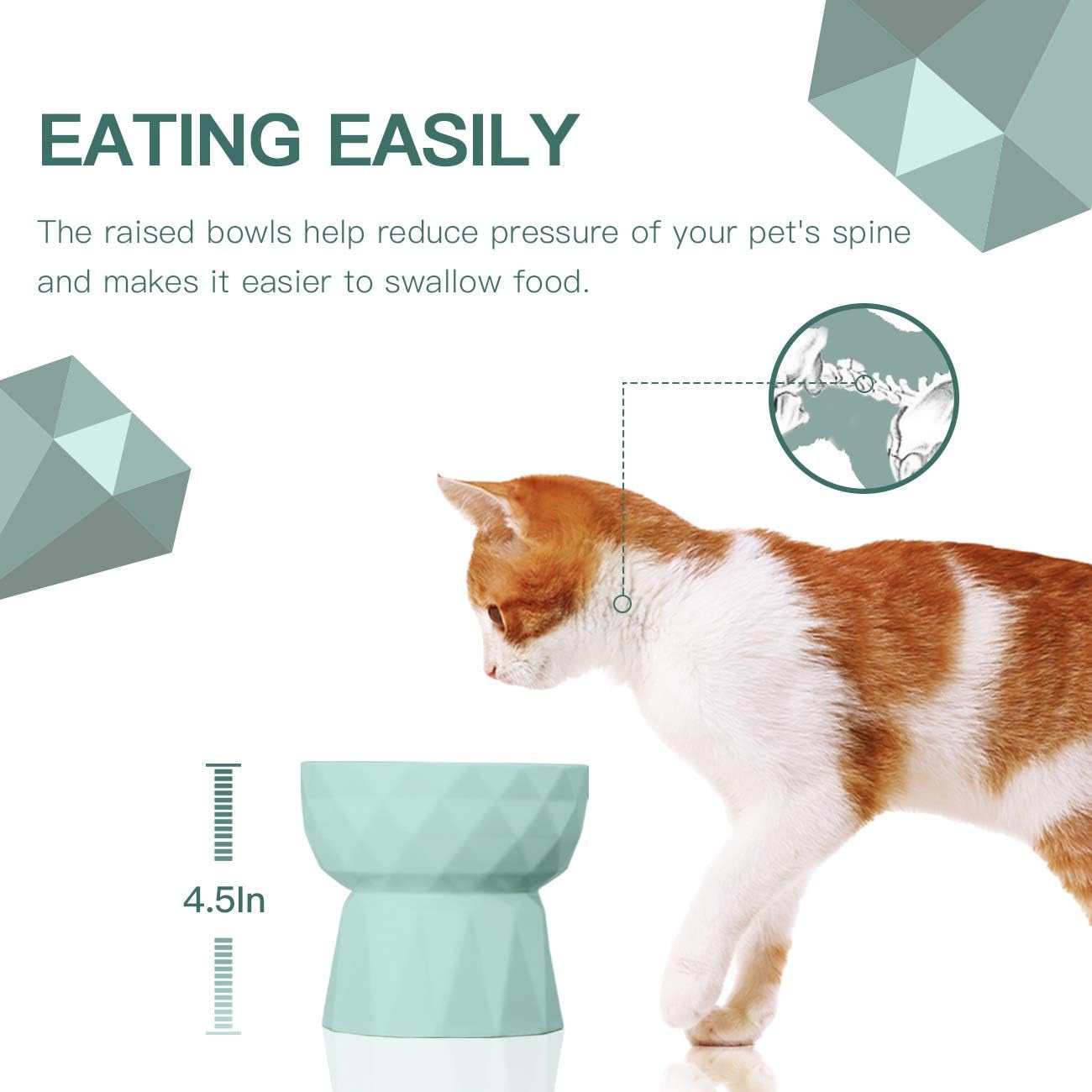 Ceramic Raised Cat Bowl Set – Anti-Vomiting Food & Water Bowls in Green