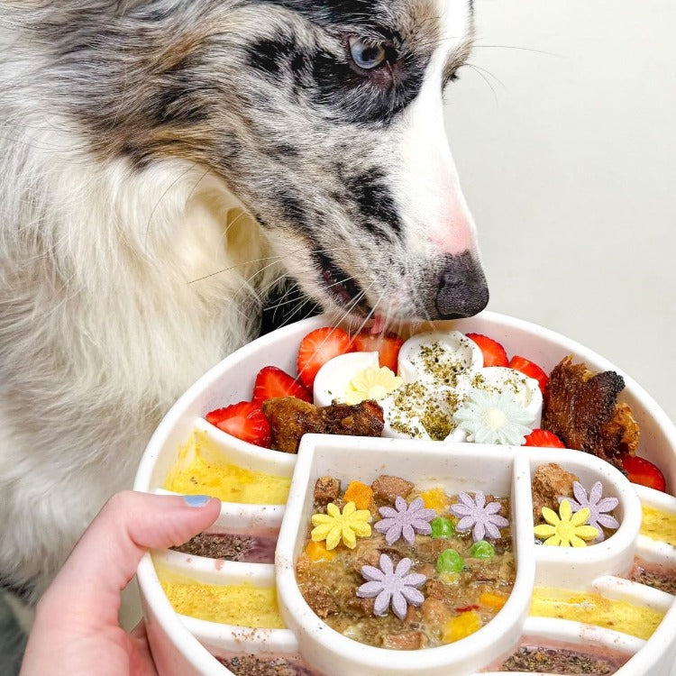 SodaPup Java Slow Feeder Dog Bowl – Deep Enrichment Bowl