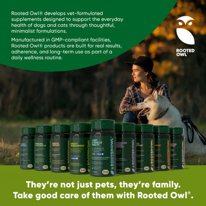 Rooted Owl Mushroom Immune Support Capsules for Dogs & Cats