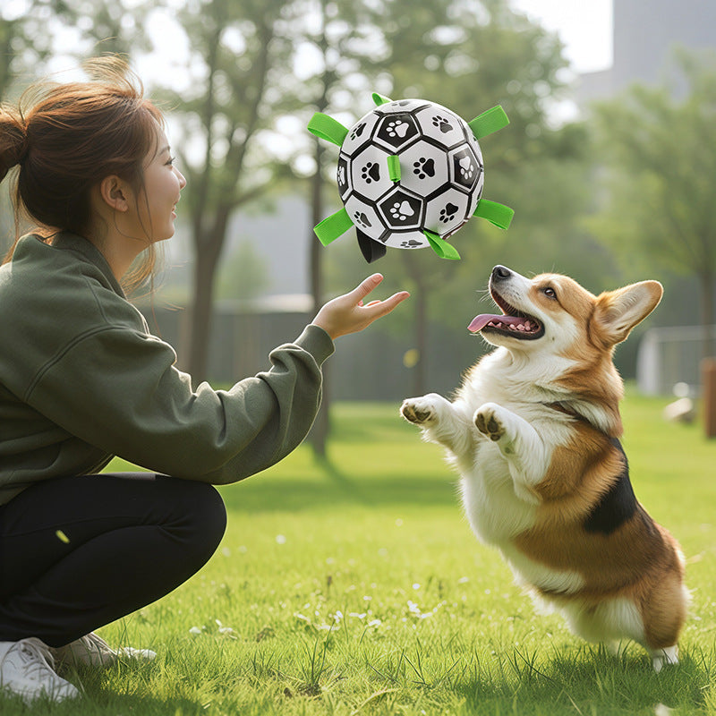 Dog Chew Ball Toy – Teeth Cleaning Soccer Ball for Outdoor Play