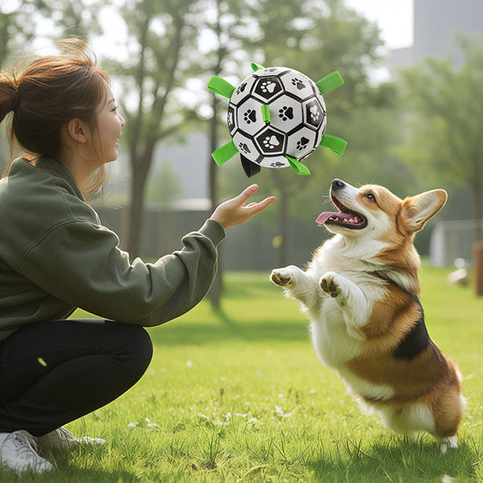 Dog Chew Ball Toy – Teeth Cleaning Soccer Ball for Outdoor Play