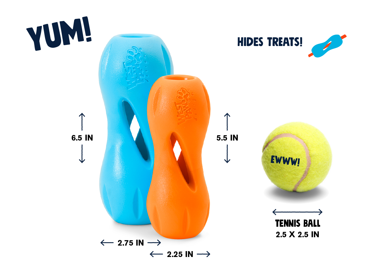 West Paw Qwizl Treat Toy – Tough Chew Toy