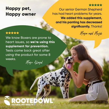 Rooted Owl Cardio Support Capsules for Dogs