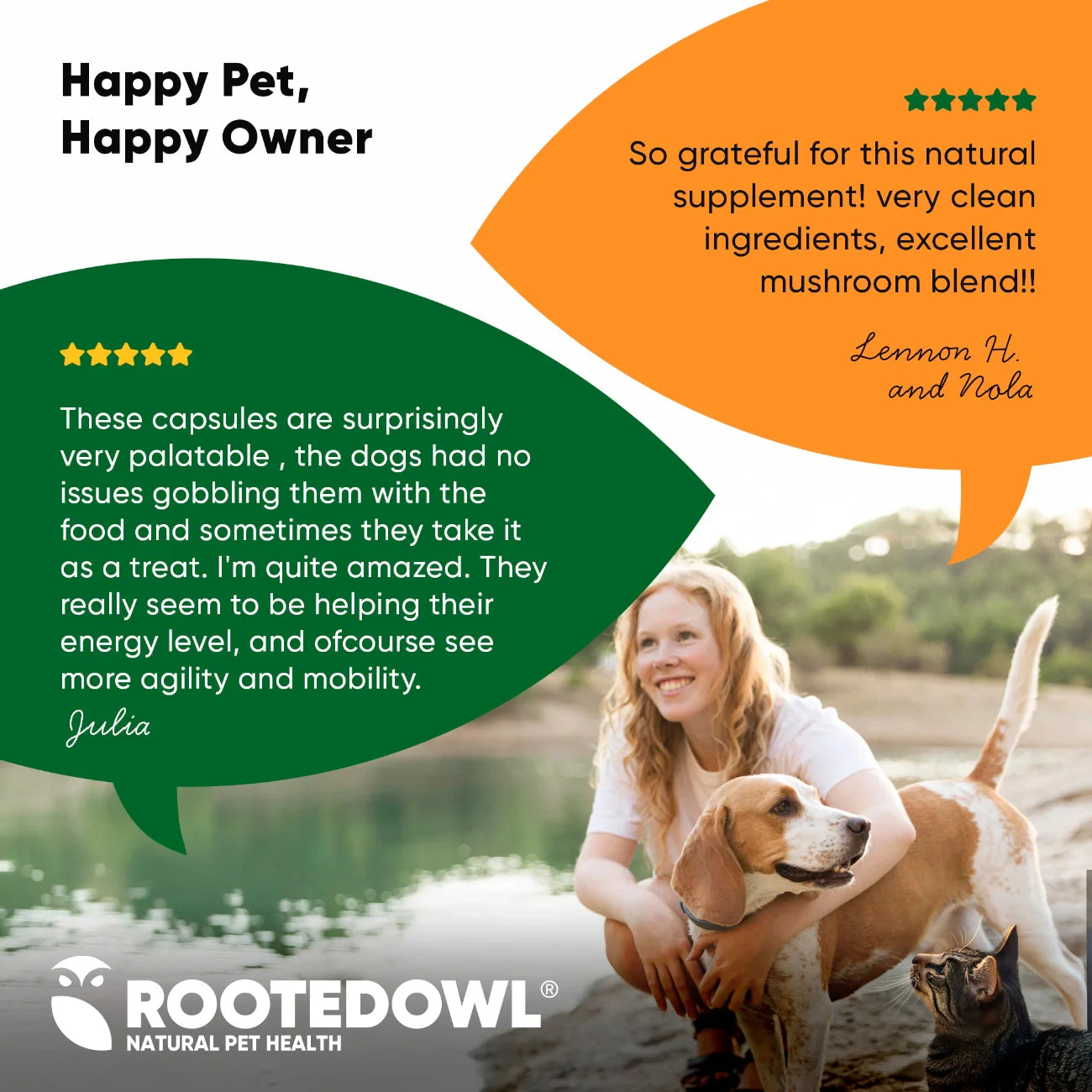 Rooted Owl Mushroom Immune Support Capsules for Dogs & Cats