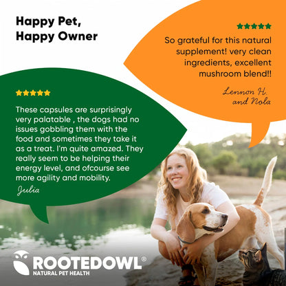 Rooted Owl Mushroom Immune Support Capsules for Dogs & Cats