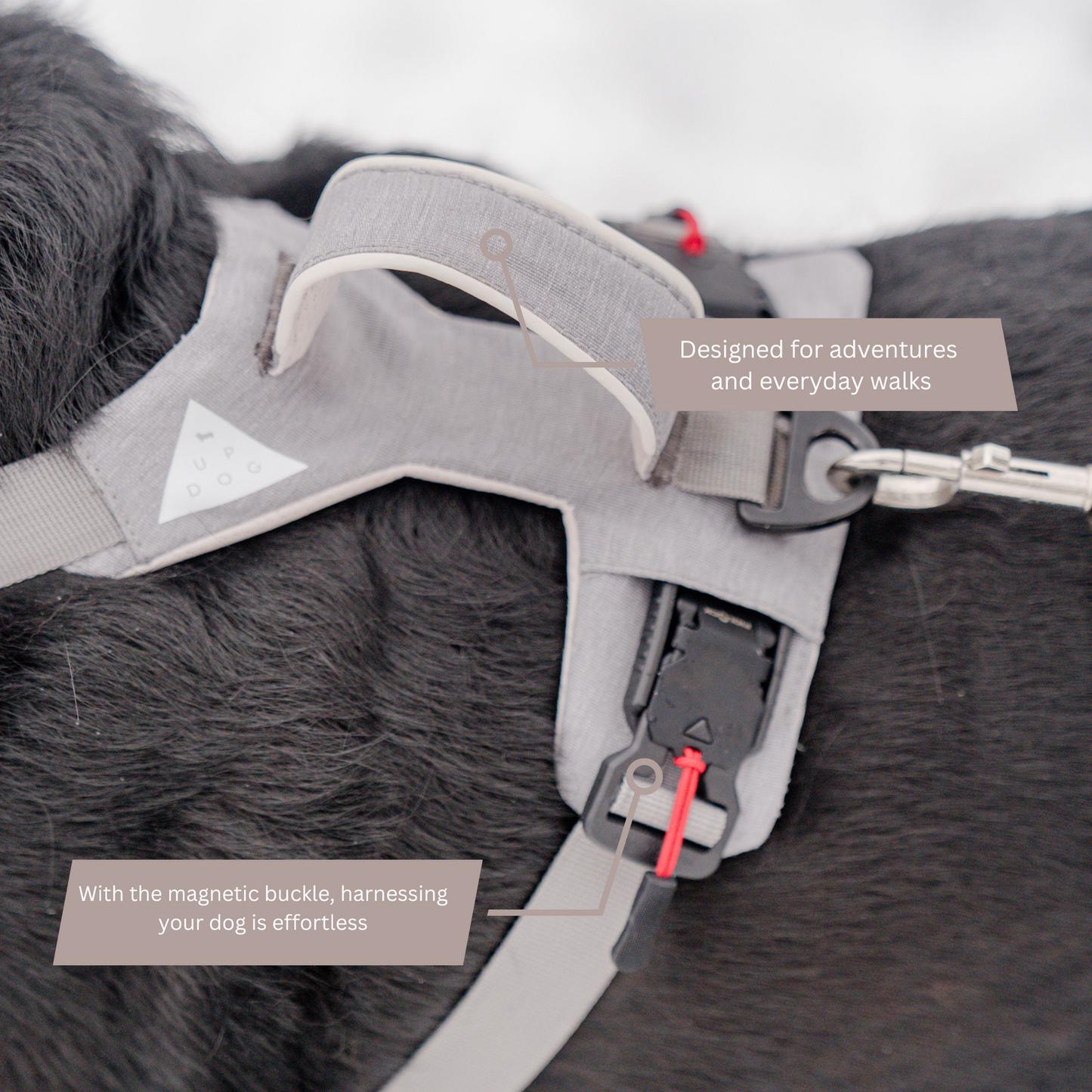 Magnetic No-Pull Dog Harness – One-Hand Clip Design