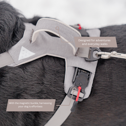 Magnetic No-Pull Dog Harness – One-Hand Clip Design