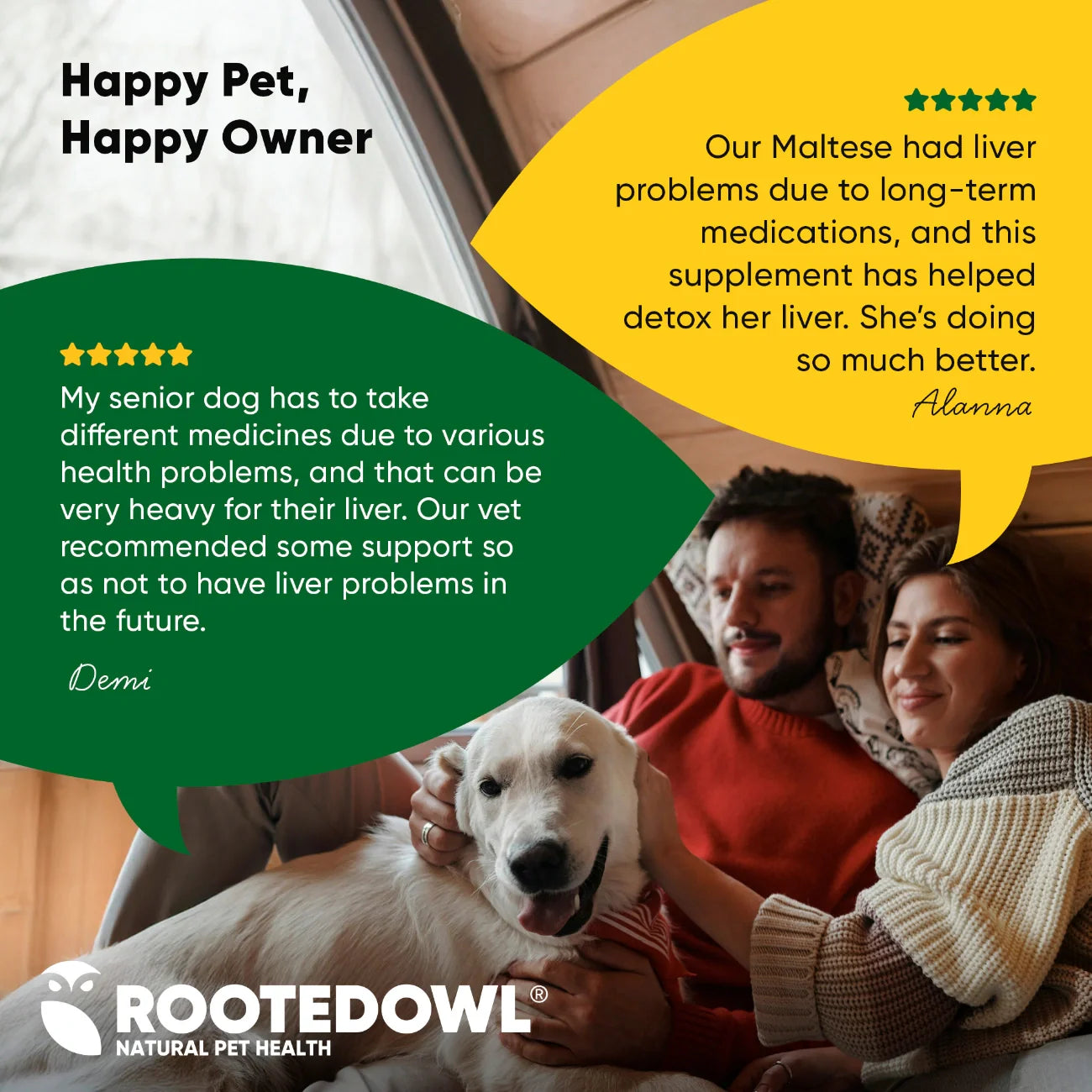 Rooted Owl Liver Support Capsules for Dogs