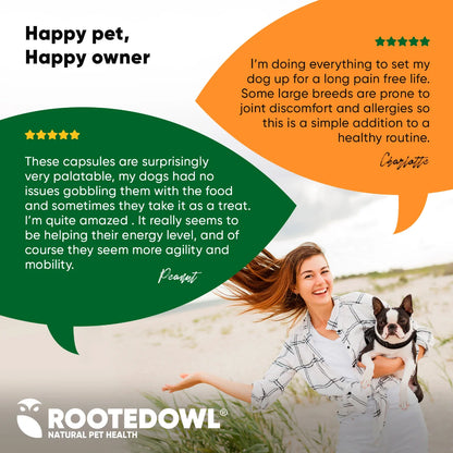 Rooted Owl Turmeric Capsules for Dogs & Cats
