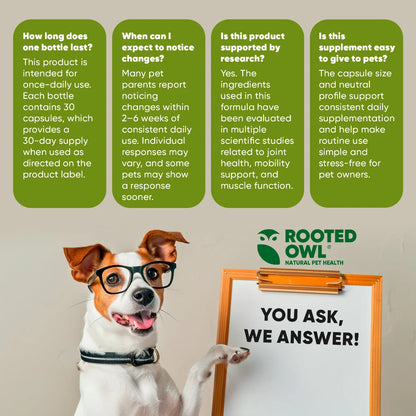 Rooted Owl Joint & Muscle Health Capsules for Cats & Small Dogs
