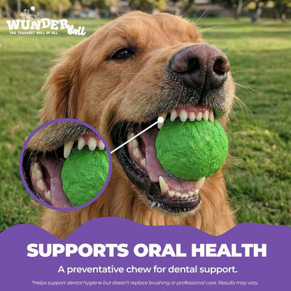 WUNDERball Fetch Toy – Natural Rubber Dog Ball
