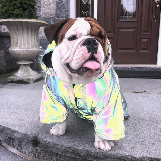 Windproof Dog Coat – Waterproof Reflective Jacket for Medium & Large Dogs